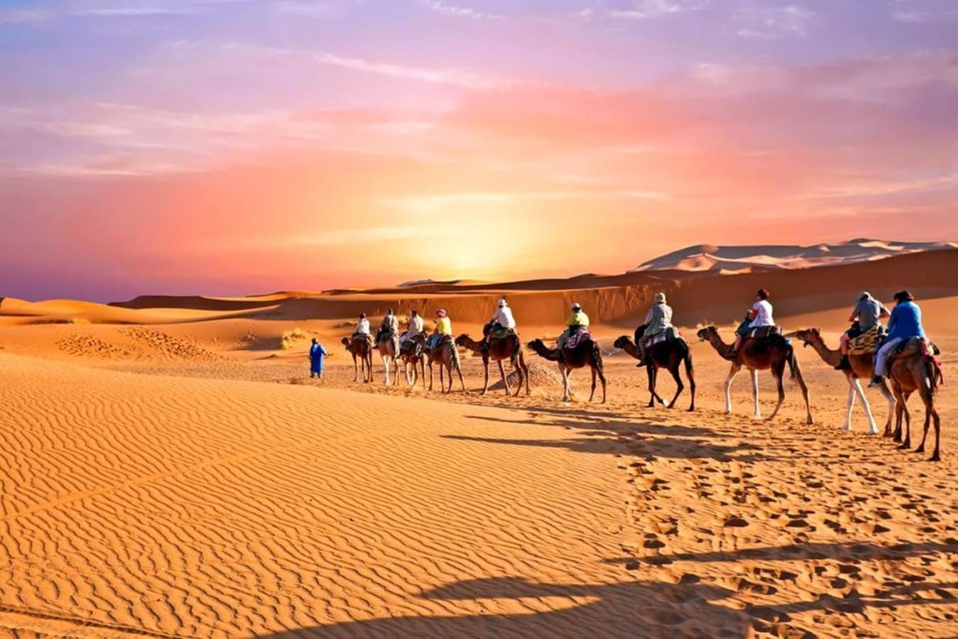 Desert Luxury Camp M'Hamid Exterior photo